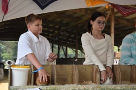 Ogle County 4-H Fair Rabbit Show winners announced