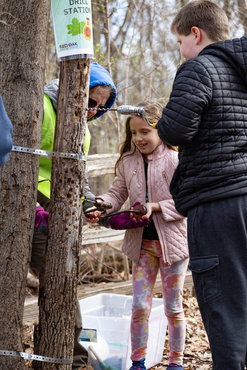 Maple Fest is Saturday, March 8 and Sunday, March 9 at Red Oak Nature Center in North Aurora.