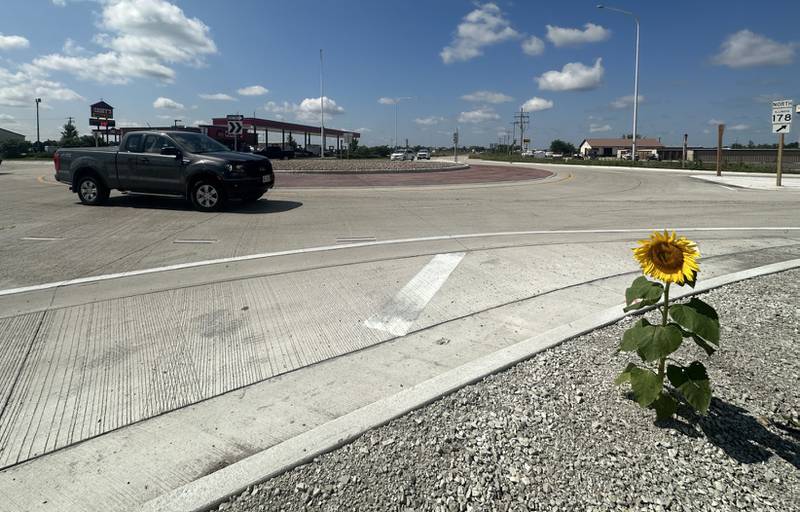 A lone sunflower is in full bloom on the northeast corner of the roundabout at the intersection of Route 178 and U.S. 6 in Utica. The sunflower is growing in rocks and was probably planted by a bird.