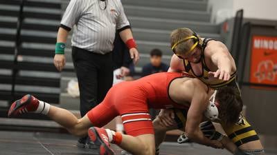 Yorkville, other Kendall County-area teams set for postseason with regionals this weekend