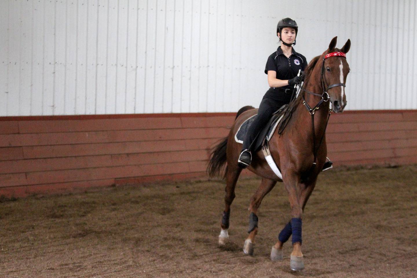 St. Charles North student Alyssa Watanapongse works with her horse, Tahlia, at Meadow Brook Stables in Maple Park. Watanapongse is a saddleseat rider and recently won ribbons in the Monarch National Championship Horse Shoe in Springfield.