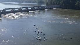 Photos: Drought pushes Illinois River to near historic low in La Salle
