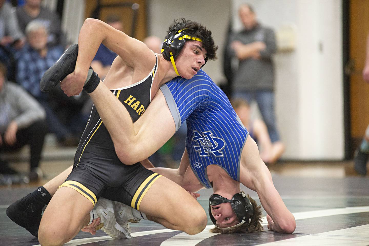Harvard's Ivan Rosas flips up Newman's Brendan Tunink  at 145lbs in the team wrestling sectional in Rock Falls on Tuesday, Feb. 22, 2022.
