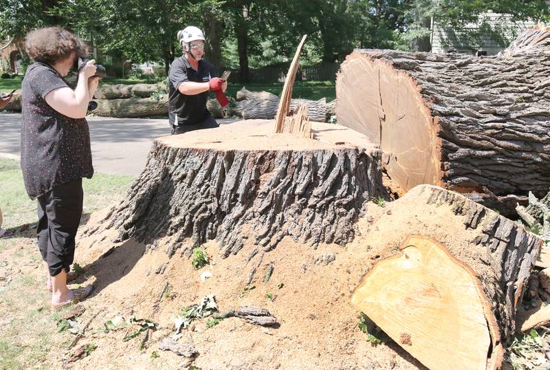 Neighborhood residents and workers from D. Ryan Tree and Landscape take photos of the stump of the historic oak tree at 240 Rolfe Road in DeKalb after it was cut down Thursday, July 21, 2022. The tree, one of the oldest in the city, was beginning to die and lost a branch in a storm last week so at the advice of an arborist the city opted to remove it rather than risk more branches coming down and causing damage or injury.