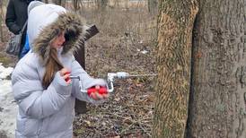 Will County forest preserve features maple syrup event, St. Paw-trick’s Day dog program