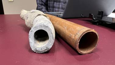 Lead in water is probably not the main cause of elevated lead levels in children, medical expert says