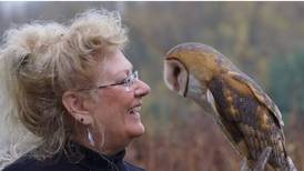 Raptor Education Program to be held in Peru on Aug. 29