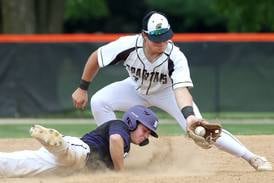 Photos: Sycamore, Dixon play in Class 3A Freeport Regional baseball semifinal