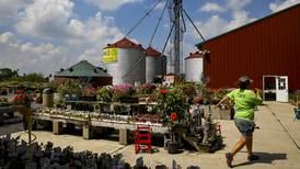 Siegel’s Cottonwood Farm in Crest Hill closes garden center