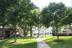 The Crystal Lake park where city’s history is buried and planted