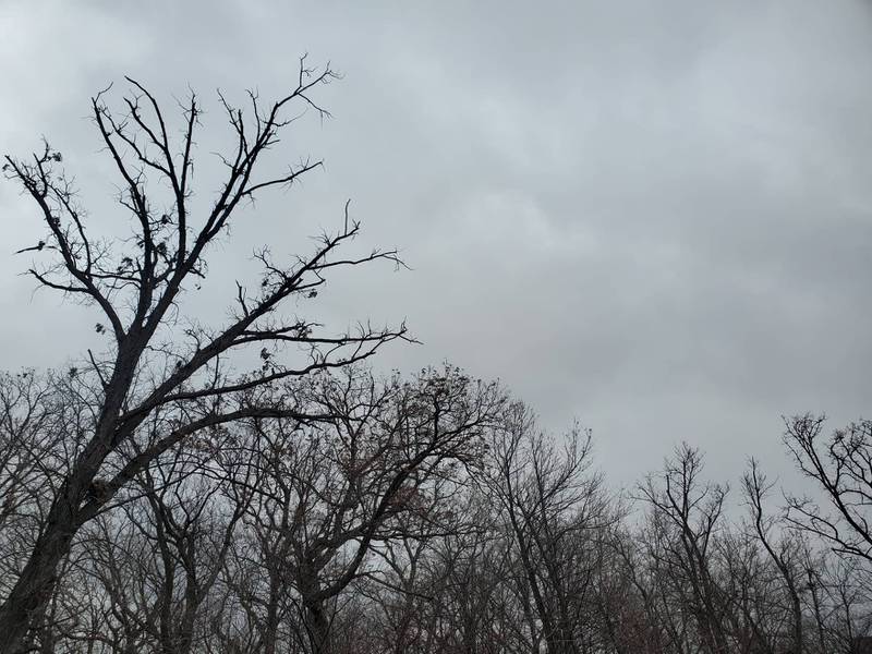 The National Weather Service is predicting gusty winds up to 55 mph starting at 8 p.m. Wednesday, Dec. 15, 2021 and continuing through 3 a.m., Thursday, Dec. 16, 2021. The weather service said these type of winds can knock small tree limbs down.