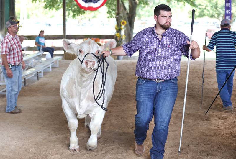 Trent Bertsche shows his Charolais Bull Wednesday, Sept. 7, 2022, on opening day of the Sandwich Fair. The fair continues this week through Sunday.