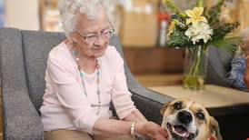 Therapy dogs finding more work helping people of all ages, needs