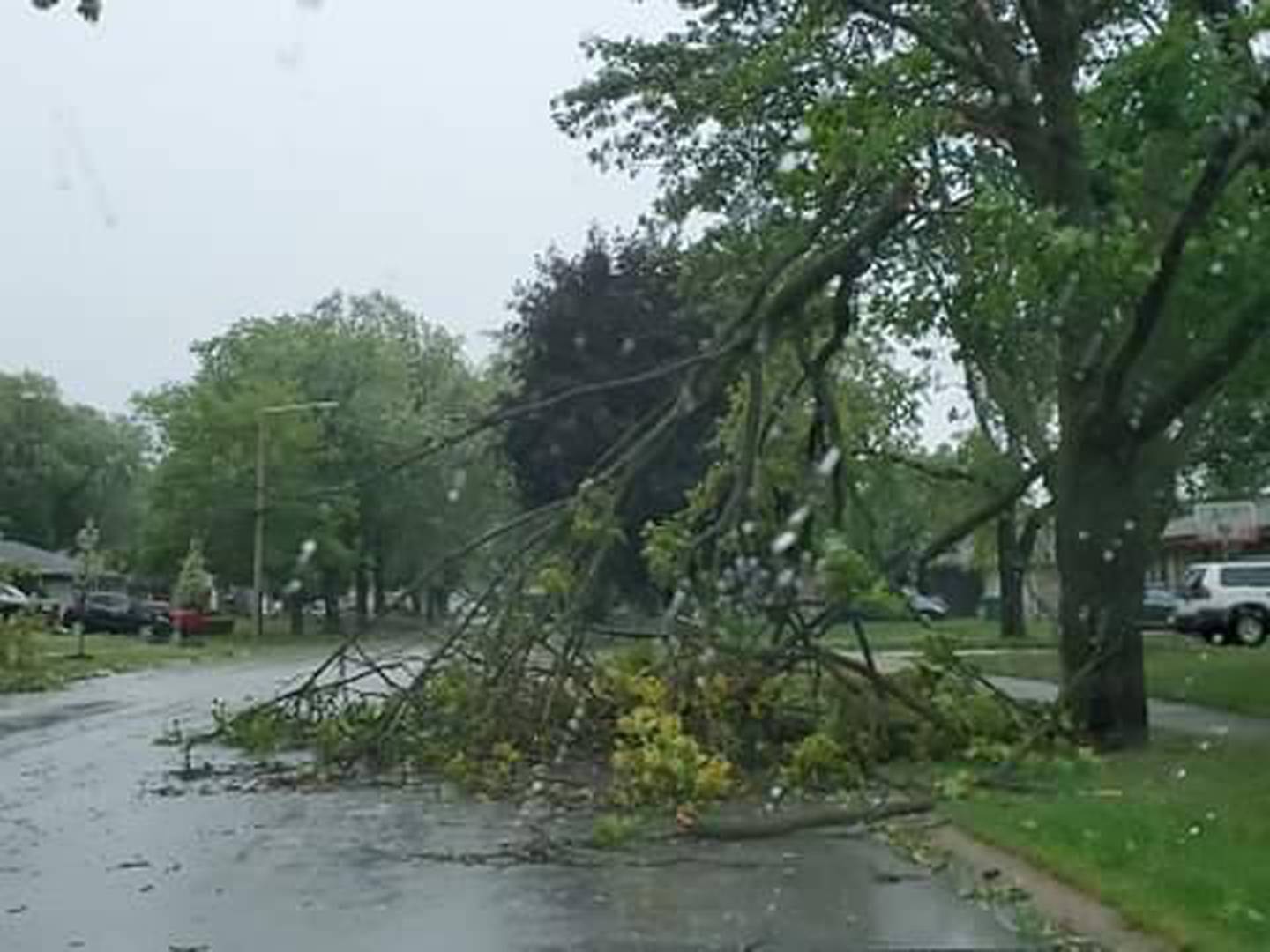 Joliet 2020 derecho