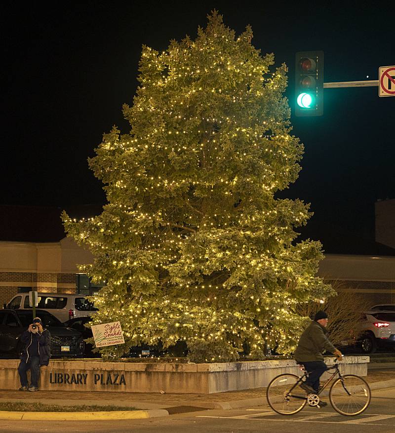 The Christmas tree was lit in downtown Sterling Friday, Dec. 6, 2024, during Sterling’s Sights and Sounds Christmas event.