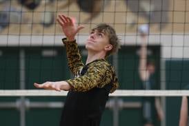 Boys volleyball: Joliet West’s Landon Brouwer in the center of team’s success