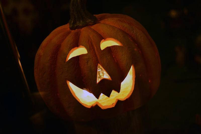 Have some spooky fun with the Forest Preserve District of Will County in October. Two programs feature a Halloween theme: “Fun Frights by Firelight” on Oct. 13 in Naperville and “Trick or Treat in the Woods” on Oct. 14 in Beecher.