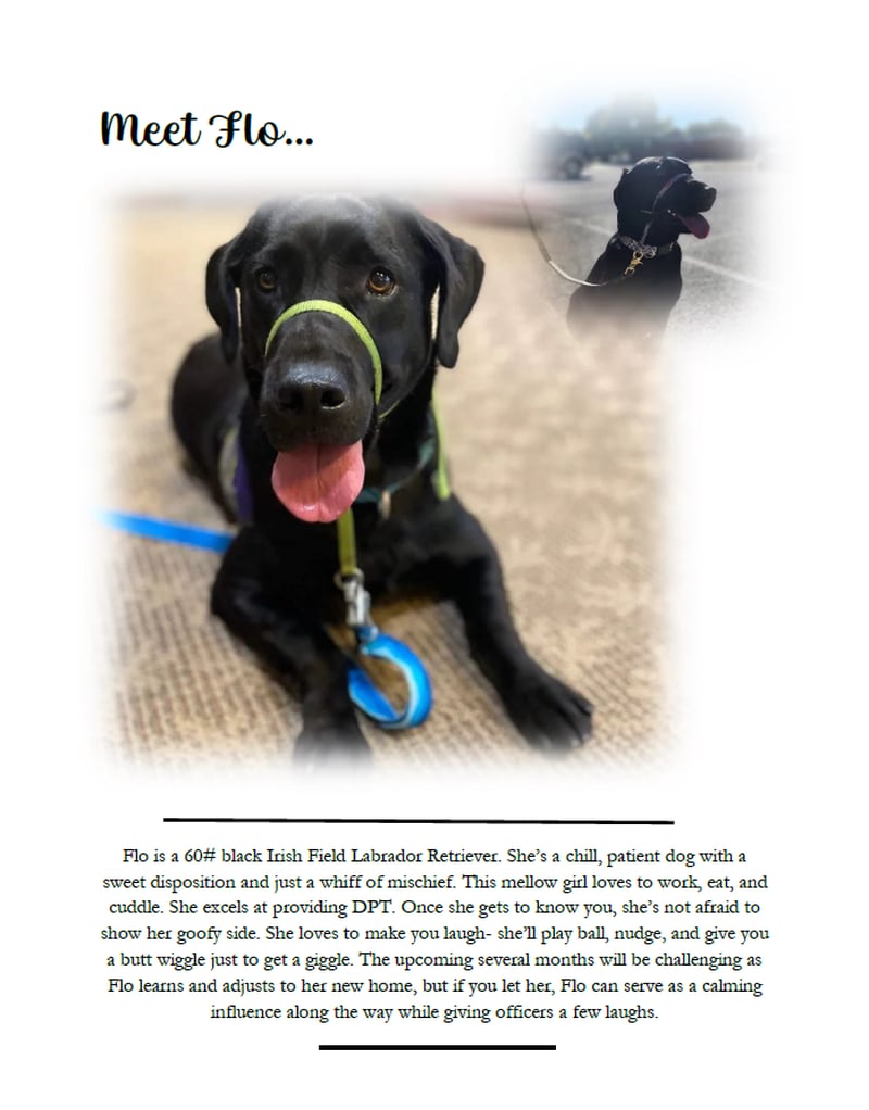 Flo, Antioch's new comfort dog, will be sworn in at the next Village Board meeting on Wednesday, Oct. 23.