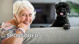 Three Ways Dogs Make Senior Years Even Better