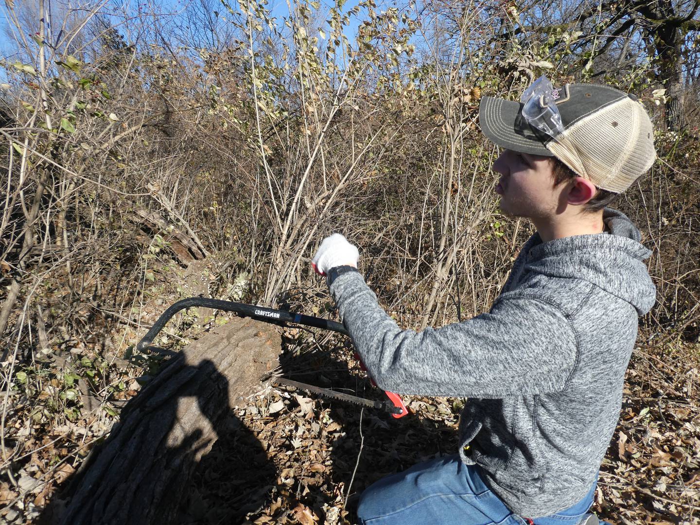 Volunteers, such as University of Wisconsin–Stevens Point freshman Zach Klemm, help clear brush and invasive species at Boone Creek Conservation Area in Bull Valley, one of half a dozen sites being restored on Friday, Nov. 25, 2022, as part of McHenry County Conservation District's Green Friday initiative.