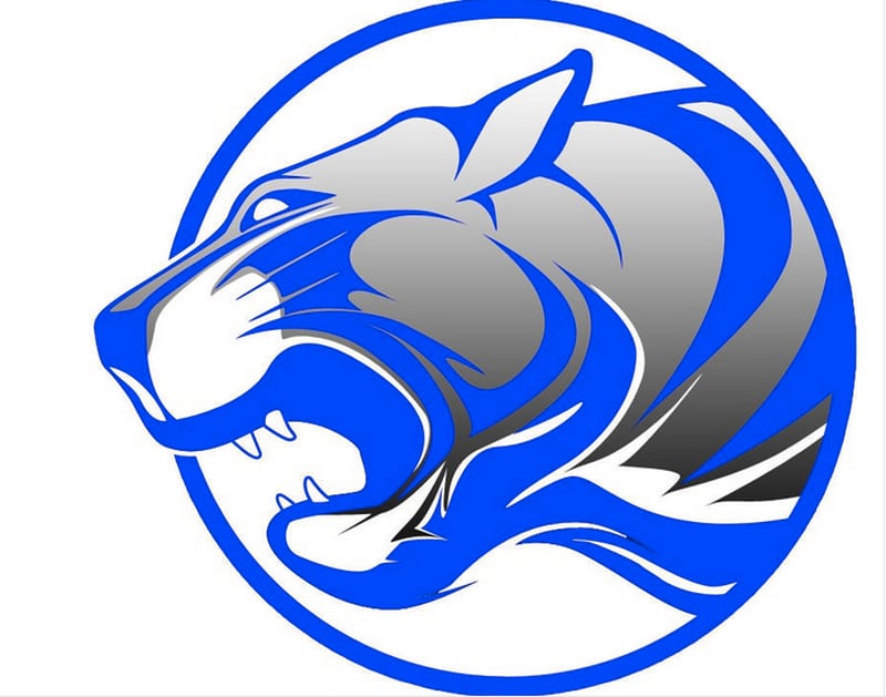 Princeton Tigers logo