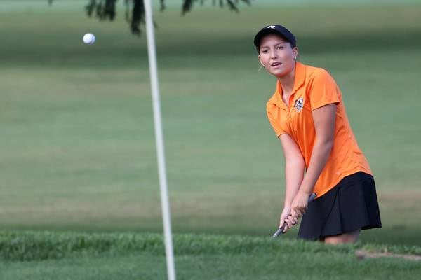 Daily Chronicle 2025 All-Area Golf Teams