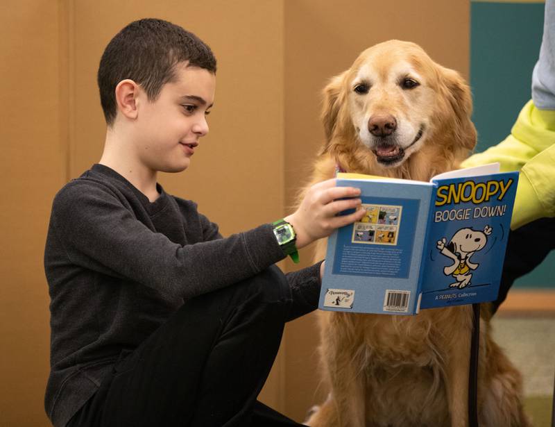 Daniel, 11, reads to therapy dog Zippy at the Elmhurst Public Library on Saturday, Feb. 12, 2023.