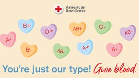 American Red Cross to hold blood drive at USF on Valentine’s Day