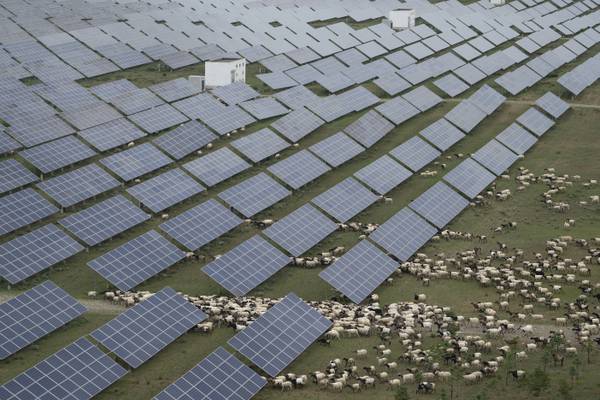 China races to build world’s largest solar farm to meet emissions targets