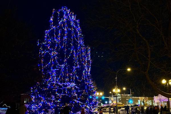 2026 DeKalb County government holiday schedule 