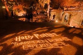 Harry Potter experience brings touch of magic to the suburbs