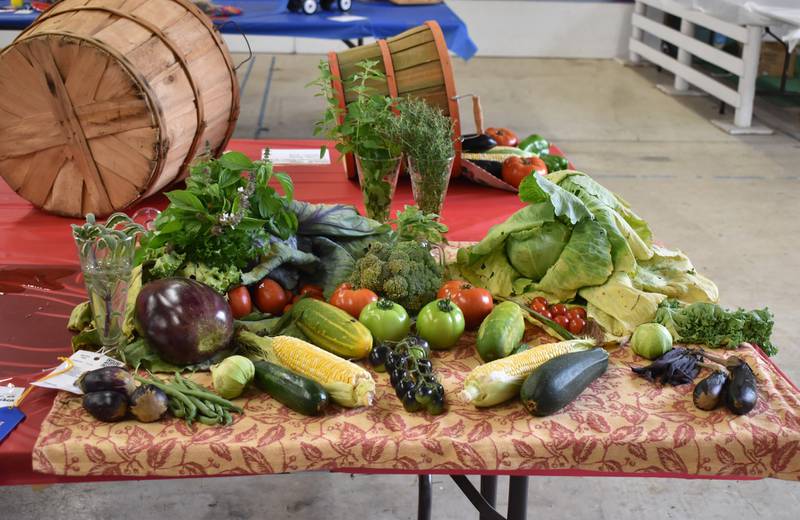 These are just some of the vegetables that were on display at the Whiteside County Fair on Thursday, Aug. 15, 2024.