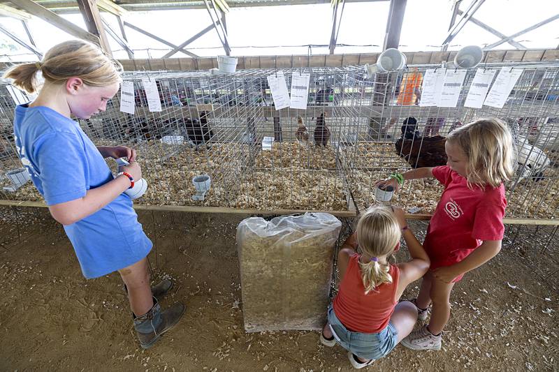 Sisters Shelby (left), 12, Ashley, 9, and Paisley Harbaugh, 7, of Chana set up feeders for their chickens Wednesday, July 31, 2024 at the Ogle County Fair. The three are showing chickens, rabbits and dairy cows.