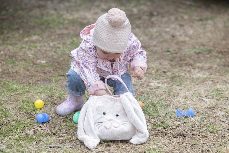Wrenley Reinhold, 2, of Dixon counts up her eggs Saturday, April 4, 2026, at the Cliff Walter Easter Egg Hunt in Amboy. Wrenley is the great-granddaughter of the before mentioned Cliff Walter.