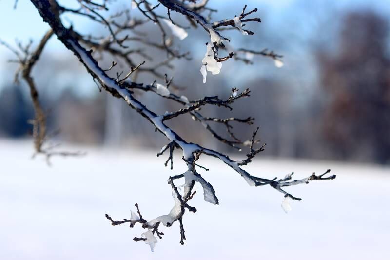 Ice glistens along Collins Road near Marengo Saturday in the wake of overnight snow. Bitter cold is expected to worsen into Sunday, the National Weather Service warned.