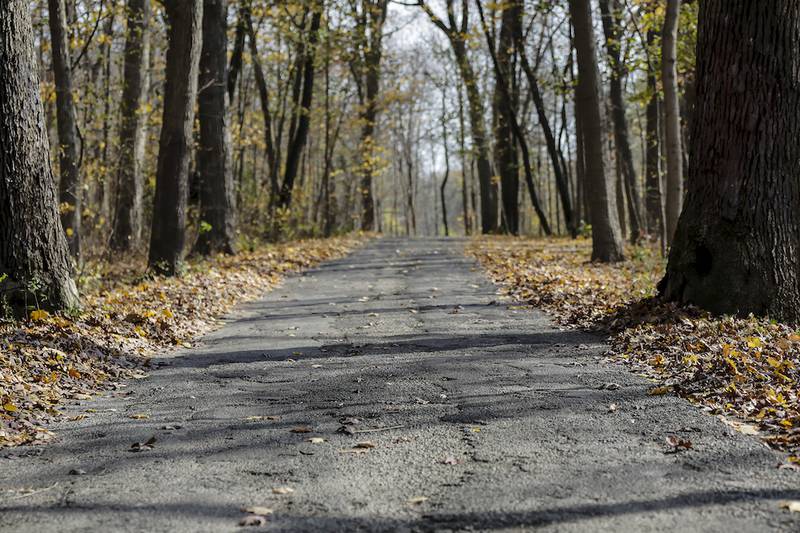 A road runs through Pilcher Park on Monday in Joliet. The Joliet Park District is seeking approval from voters of a $19.5 million referendum during the Nov. 4 election.