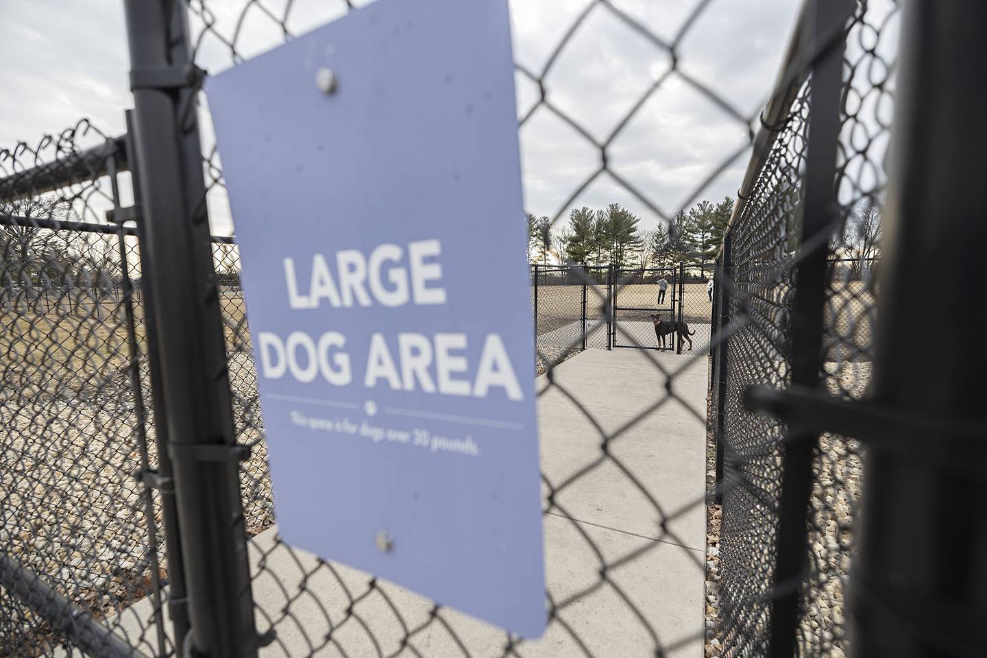 The dog park at Thomas park is cordoned off in a large and small dog section.