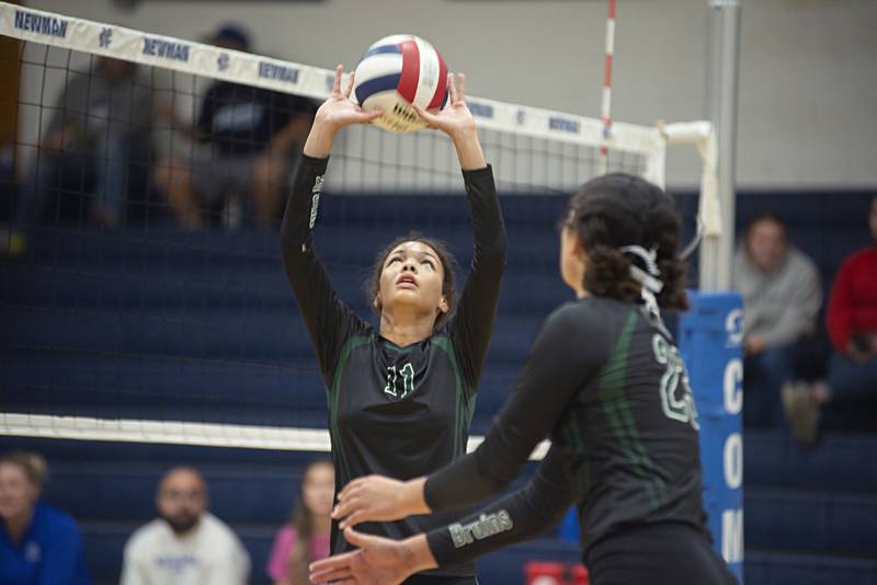 St. Bede’s Amanda Wojcik sets the ball against Newman Tuesday, Sept. 27, 2022.