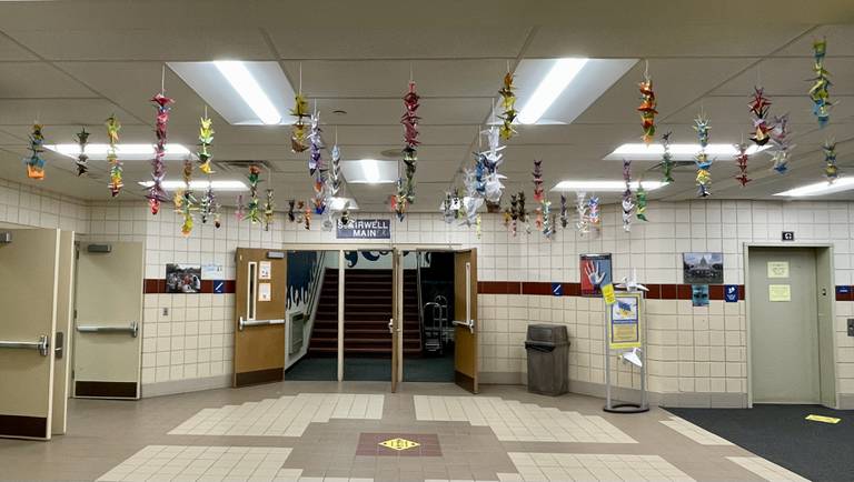 Peace cranes hang at Hannah Beardsley Middle School in Crystal Lake. D47 middle schoolers made the cranes, which the school library information specialist, Kate Tamms, hopes to send to the Children's Peace Monument in Hiroshima.