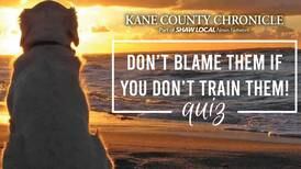 Don’t Blame Them If You Don’t Train Them! Quiz