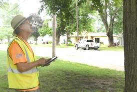 Oregon to seek Tree City USA designation for 2024