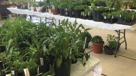 Kane Forest Preserve Foundation’s annual plant sale set for April 25 in St. Charles