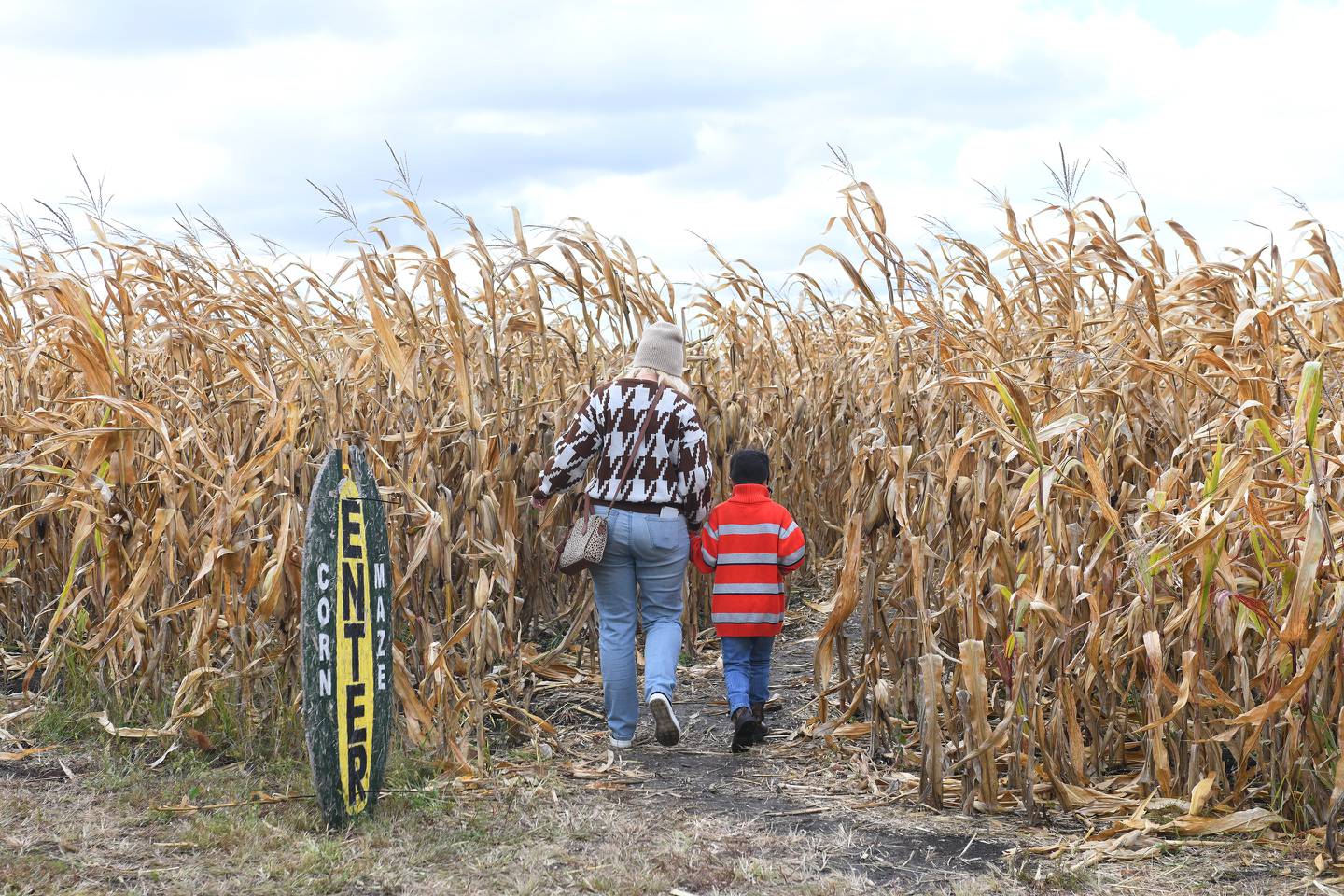 Patrons enter the corn maze at Benoit Greenhouses’ inaugural pumpkin patch in 2020.