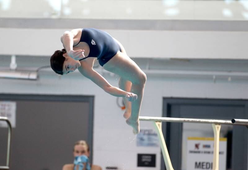 Oswego’s Katie Malm dives during the IHSA Girls State Swimming and Diving Championships at the FMC Natatorium in Westmont on Saturday, Nov. 11, 2023.