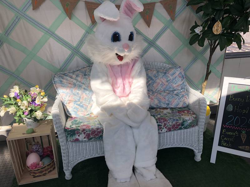 The Easter bunny enjoys sunshine at the Illinois Railway Museum in Union before people visit March 23, 2024.