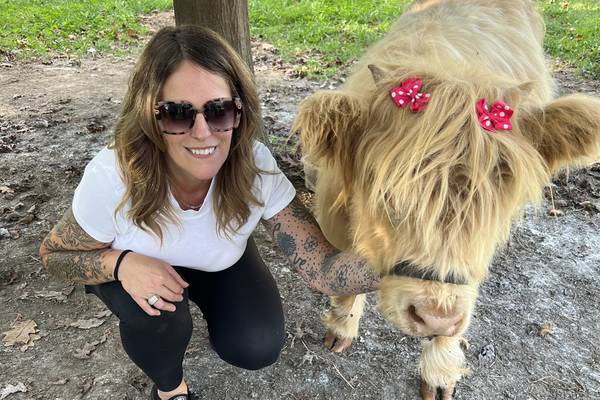 Meet Maggie and Mabel, two Batavia stars with a growing fanbase