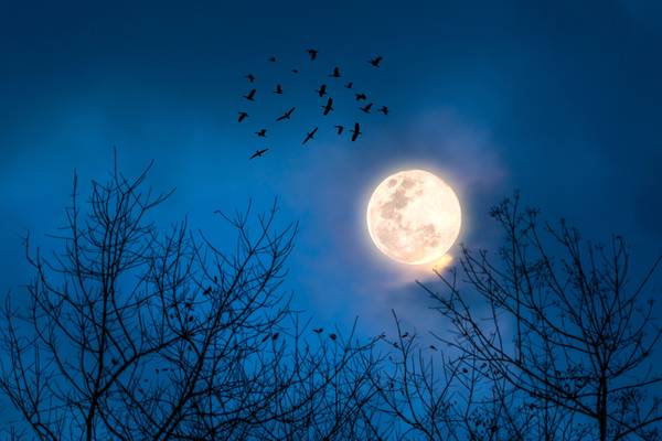 Spooky tales linger at Hunt House in St. Charles