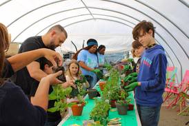 La Salle County 4-H launches Little Roots gardening program for kids