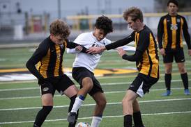 Photos: IHSA Class 1A Herscher Regional, boys soccer