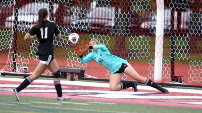 Photos: Fenwick vs. Deerfield in IHSA 2A consolation game